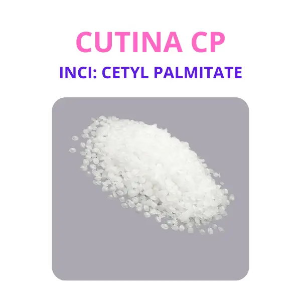 CUTINA CP