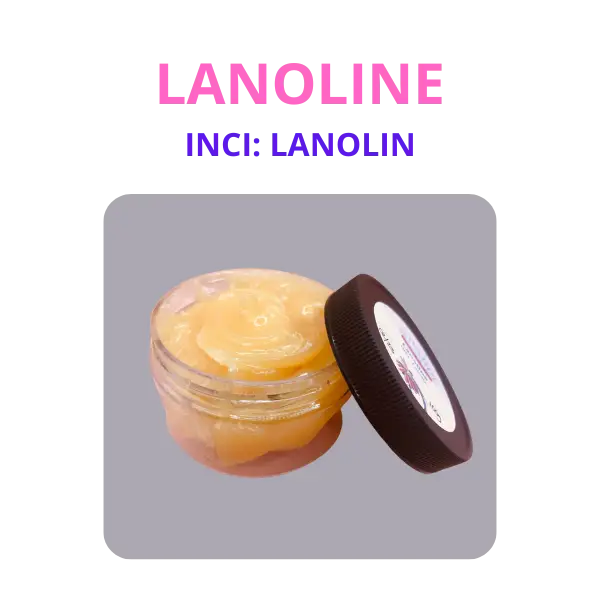 Lanoline