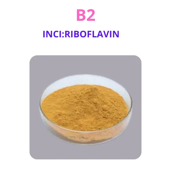 B2